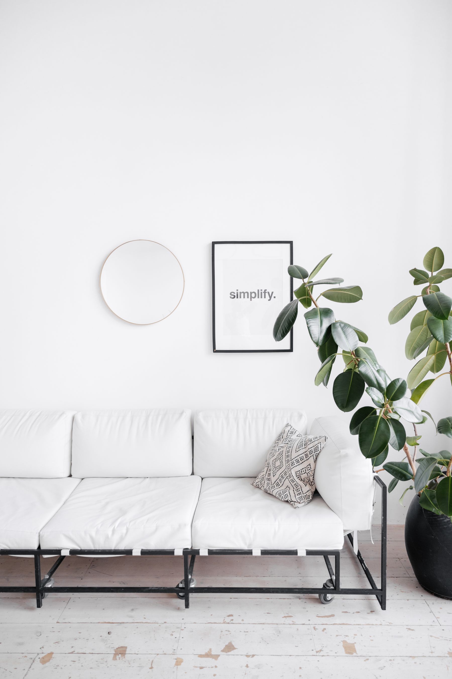 A white sofa beside a potted rubber plant in a bright home interior